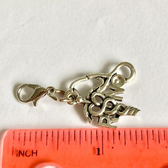Medical Nursing RN Caduceus Stethoscope Clip On Charm Bracelet Zipper Pull - Picture 5 of 6